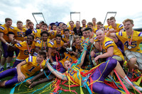 Silver Bowl XVII
